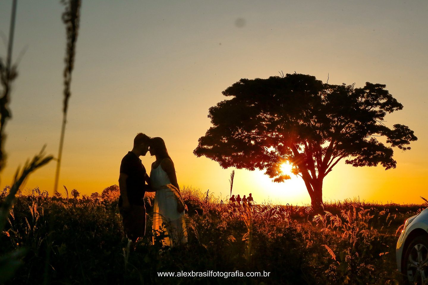 Pré Wedding: Mariana & Felipe